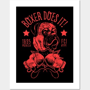 Boxer Does It Posters and Art